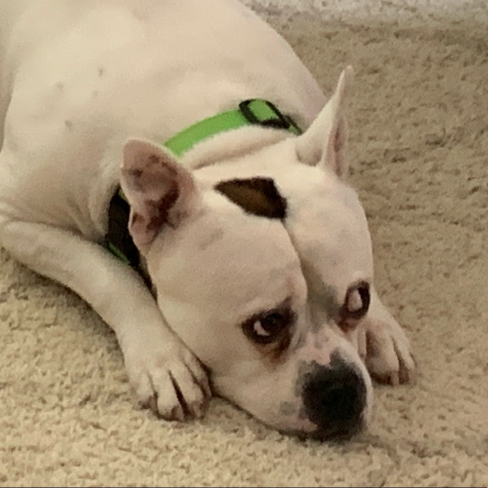 Meet your Posher, Byron